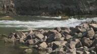 Jefferson County Council passes Rockford Park swimming ban