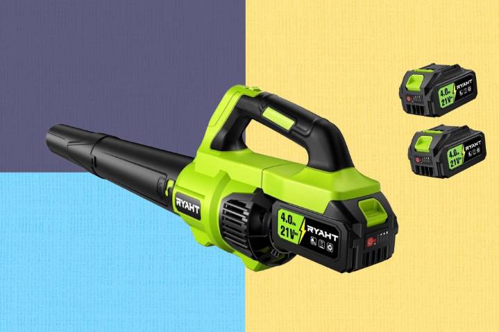 DEWALT leaf blower? No, it’s way cheaper at 46% off