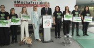 Waldo Fernández presenta iniciativa para castigar maltrato animal