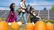 27 Oregon pumpkin patches to check out this autumn