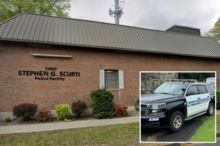 NYS police department blasted for posting stock pics of their 'officers' on its website: 'Fake black dude'