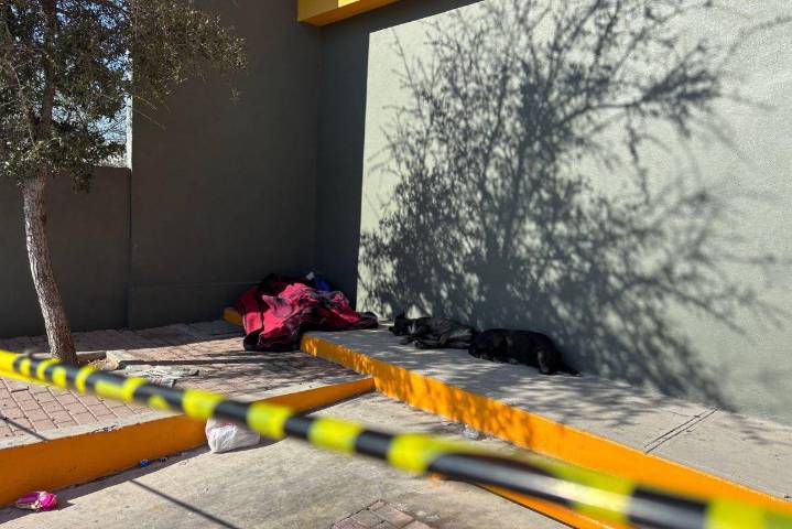 Pierde la vida en la vía pública, junto a sus perros, en Saltillo