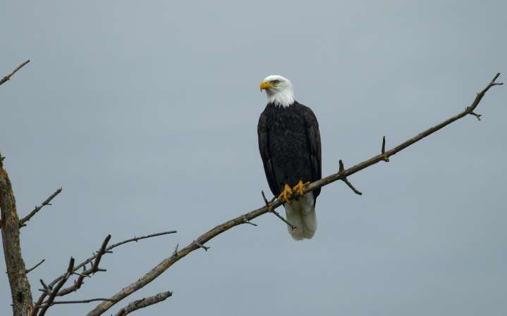 Scene in Edmonds: Around town