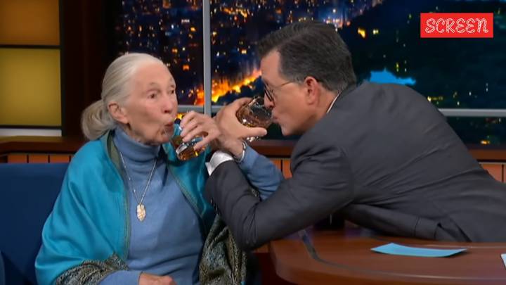 When Jane Goodall toasted to saving the planet with Stephen Colbert, and compared chimpanzees to a certain politician