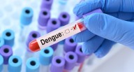 LACo Reports Locally Acquired Dengue Case