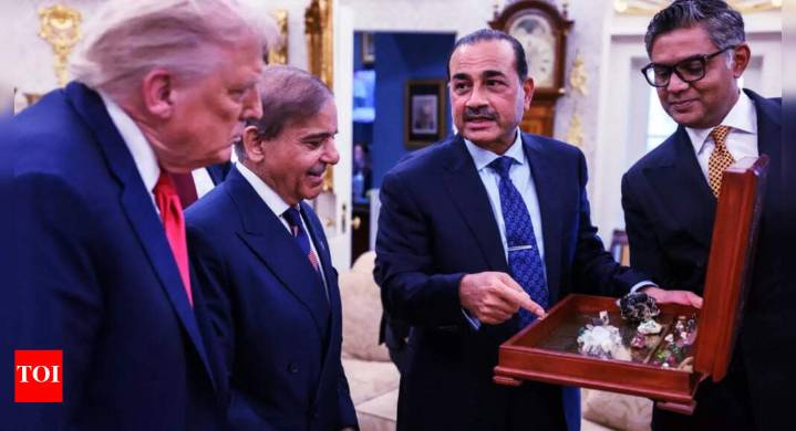 'What a joke': Pak lawmaker mocks 'salesman' Munir's rare earth display for Trump; gives dire warning