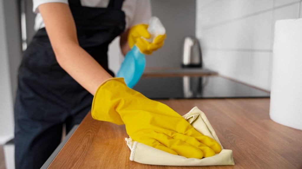 Cuánto cobran las empleadas domésticas en noviembre de 2025 con sueldo actualizado