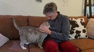 Months after Enderlin EF-5 tornado, woman reunited with her cat, Raindrop
