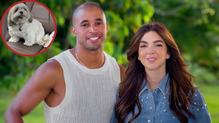 TV star shares horror story about dog dying in pet sitter’s care