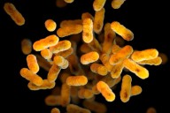Whooping cough reported in Morton County