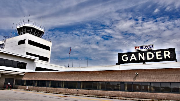 'Date local,' says Gander airport CEO after staff allege multiple catfishing scams