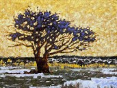 Upcoming Phoenix exhibit to celebrate Arizona ‘views’