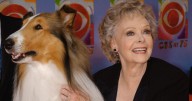June Lockhart, beloved mother figure from 'Lassie' and 'Lost In Space,' dies at 100