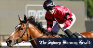 Race-by-race preview and tips for Saturday’s meeting at Randwick