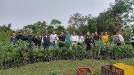 Ejército Nacional fortalece la apicultura en Casanare