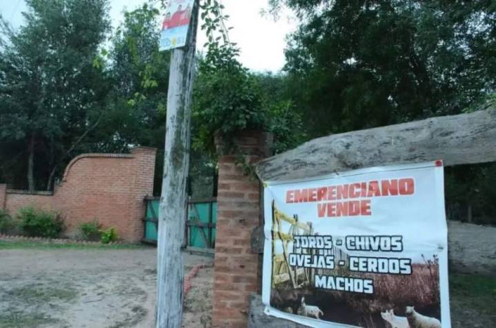 CHACO | El Gobierno impulsa la expropiación de la “chanchería” del clan Sena