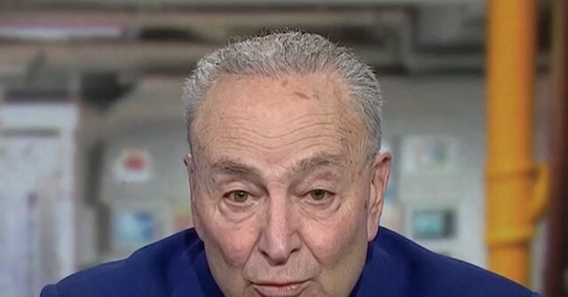 Schumer: Trump Sending Military to Cities Is Moving U.S. into an 'Autocracy'