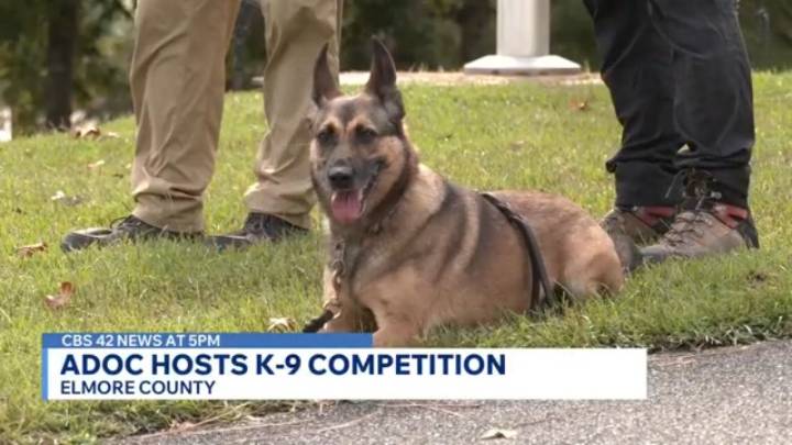 K-9 units from three states go head-to-head for competition in Alabama