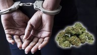 Marijuana Cultivation In Asifabad District: Tribal Farmer Arrested