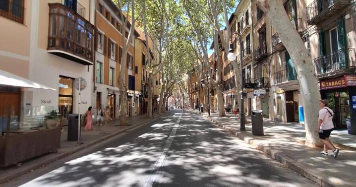 Ni el Portitxol ni Son Rapinya, estos son los barrios más ricos de Palma