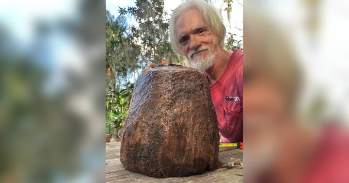 Wood you like to go on a carbon date? - The West Volusia Beacon