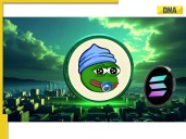 2026 Crypto Outlook: SOL & LILPEPE Bull Run Targets