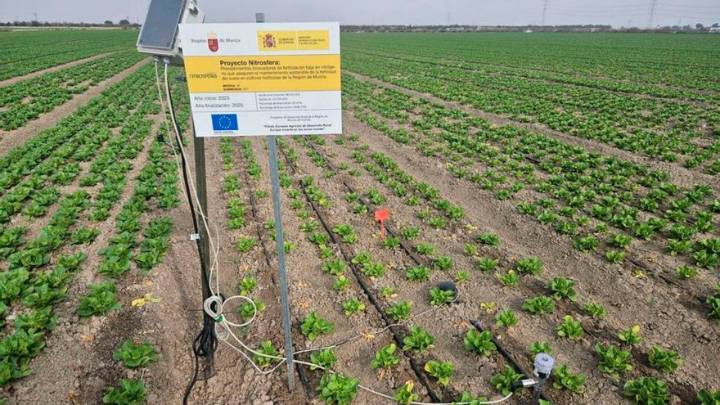 Una fertilización sostenible y precisa en los cultivos hortícolas