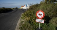 Denmark prepares for a Russian 'hybrid war' after repeated drone spottings