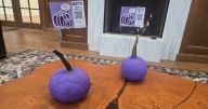 Purple 'Peace Pumpkins' spread domestic violence awareness across Lexington