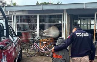 Coordinación entre instancias municipales permite localización segura de menor extraviado en San Pedro Cholula
