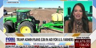 Trump plans $3B in aid to help US farmers hit by Democrats' shutdown