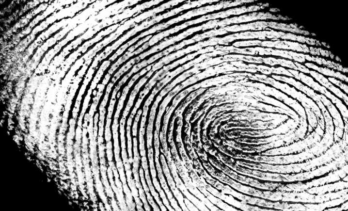 Human bones discovered in wooded area in Upstate New York, state cops say