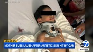 South Los Angeles mother sues LAUSD after 5-year-old son with autism was hit by a car outside Parmelee Avenue Elementary School