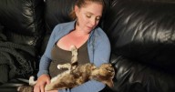 Plea for return: Woman's stolen lime tree holds pet's remains