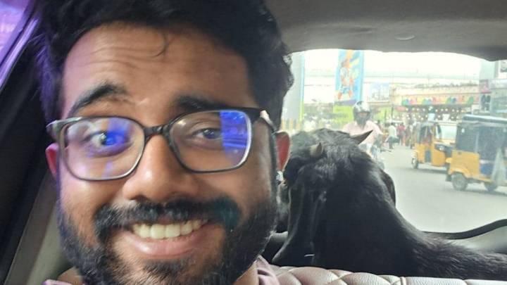 Bengaluru Man Books Shared Cab, Ends Up With Goat As Co-Passenger: ‘Cab Main Virat Kohli’