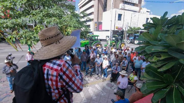 Productores de maíz esperarán una semana por nueva reunión con Agricultura Federal