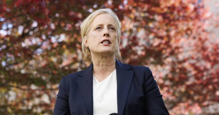 Labor defends transparency amid 'jobs for mates' Senate saga