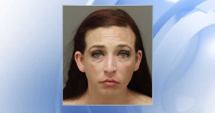 Wake County mom accused of drunk driving, crashing into a gate with 9