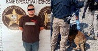 Horror en hotel canino de Hermosillo: vinculan a proceso al dueño por maltrato animal tras video difundido