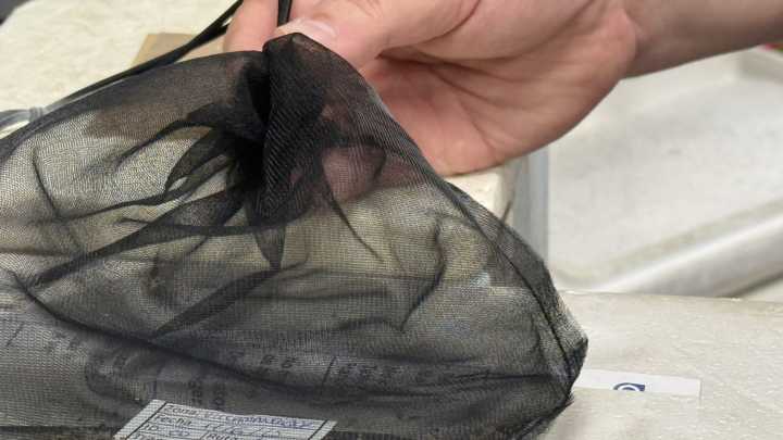 Sanidad confirma el tercer caso de fiebre del Nilo en La Rinconada y declara a Almensilla área en alerta