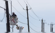 Gap between telcos network expenditure, revenue continues to widen beyond ₹10,000 cr: COAI