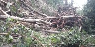 Incomunicada Oaxaca con la Cuenca; cierran la 175 de Valle Nacional a la capital