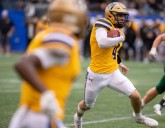 The Herd look to dig in hooves in home finale