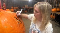 Glowing strong at 13: Jack O'Lantern Spectacular shines at Iroquois Park