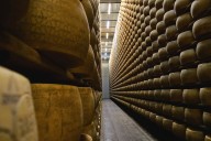 “Viable”. Una última jugada busca evitar un final abrupto para una emblemática empresa láctea