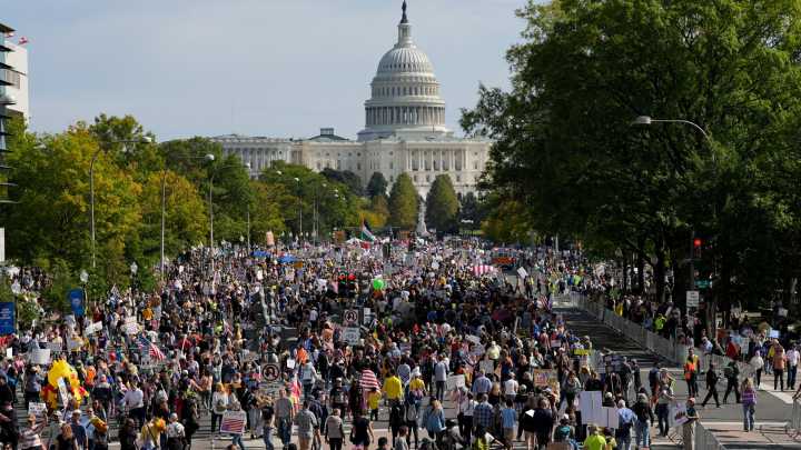 Thousands protest at ‘No Kings’ rally near White House