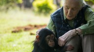 La pionera investigadora Jane Goodall muere a los 91 años