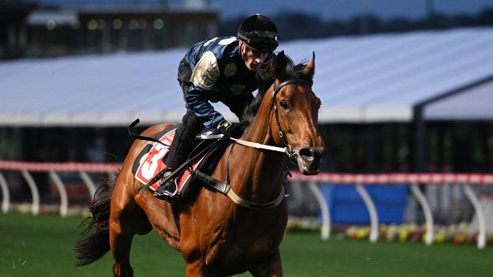 RACING 
                                          Comments
                                        
                                          Premium
                                        Melbou