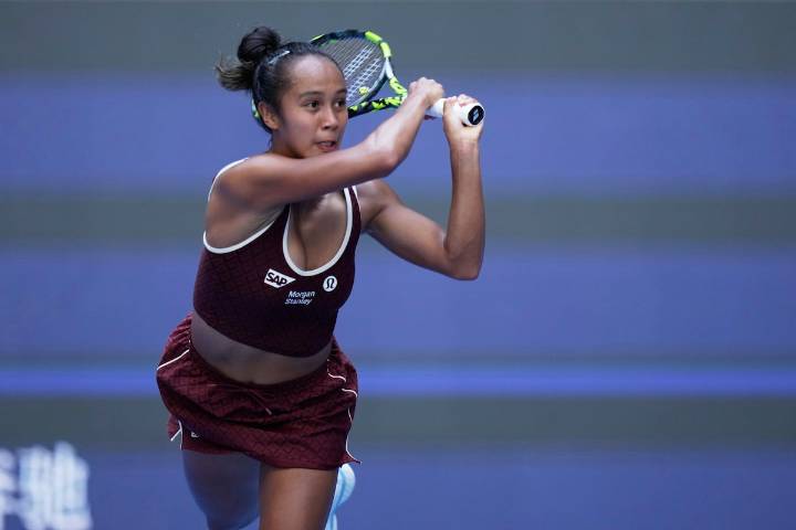 Fernandez takes singles title in Japan Open with win over Valentova