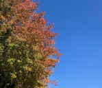 Chilly, rainy Wednesday in central Pa. to be followed by cold mornings